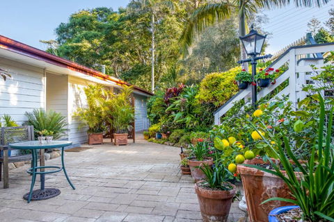 Avocado Sunset Bed & Breakfast - Accommodation Sunshine Coast 3