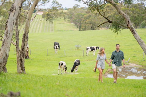 Away At Ancell - Accommodation Sunshine Coast 1