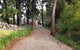 Bee-Haven Cottage - thumb 4