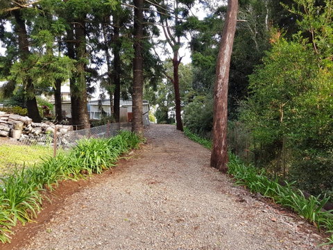 Bee-Haven Cottage - Accommodation Sunshine Coast 4