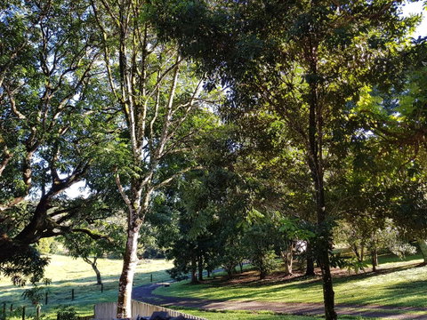 Bee-Haven Cottage - Accommodation Sunshine Coast 7