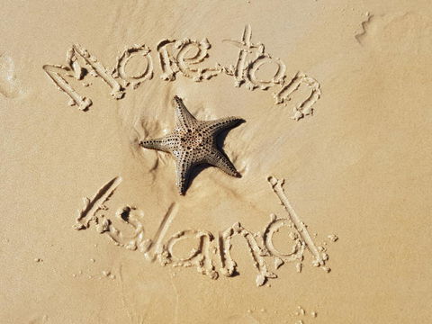 Moreton Island Villas And Apartments - Accommodation Sunshine Coast 31