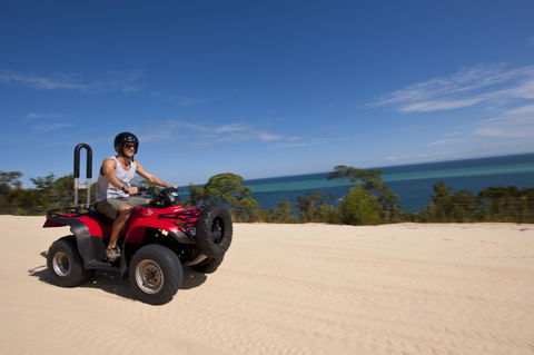Tangalooma Island Resort - Accommodation Sunshine Coast 12