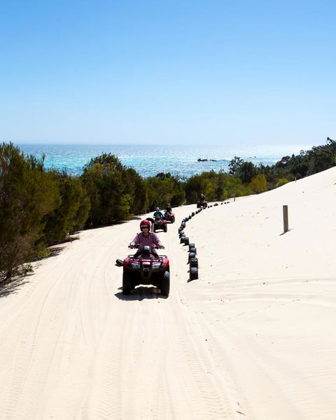 Tangalooma Island Resort - Accommodation Sunshine Coast 11