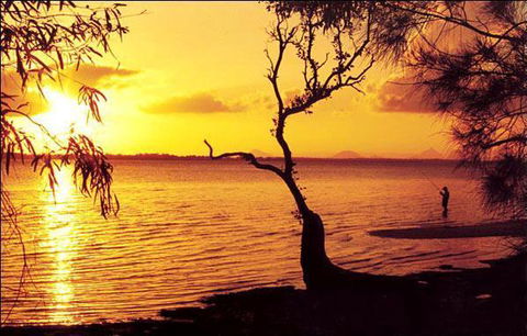 Waterfront At White Patch - Accommodation Sunshine Coast 23