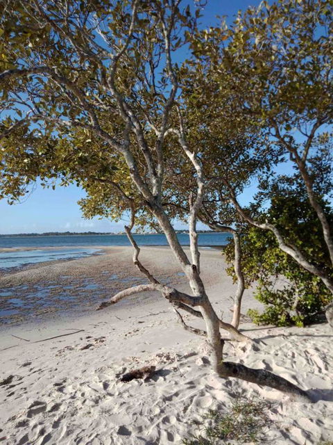 Modern Beach Villa - Accommodation Sunshine Coast 15