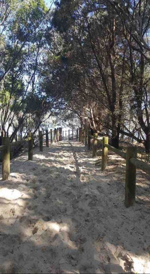 Modern Beach Villa - Accommodation Sunshine Coast 16