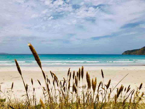 Modern Beach Villa - Accommodation Sunshine Coast 14