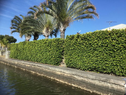 Private Canal Duplex With Pontoon - Oleander Drive, Bongaree - Accommodation Sunshine Coast 8