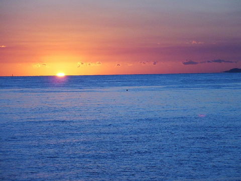 Hampton Cottage- Delightful Cottage Bring Your Dog! - Accommodation Sunshine Coast 1