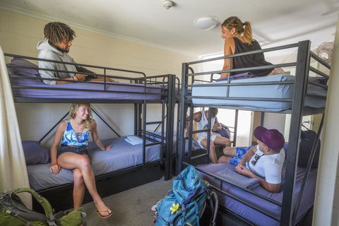 Manta Lodge YHA & Scuba Centre - Accommodation Sunshine Coast 10