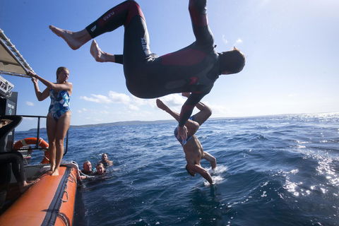 Manta Lodge YHA & Scuba Centre - Accommodation Sunshine Coast 11