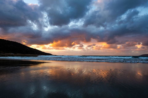 Palana Beach House - Accommodation Sunshine Coast 4