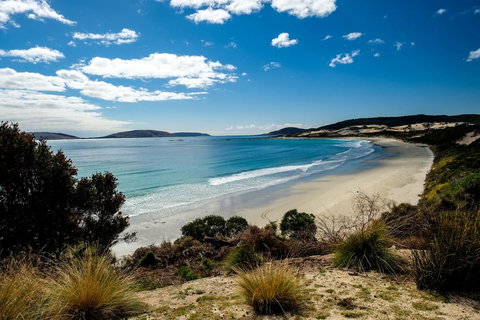 Palana Beach House - Accommodation Sunshine Coast 11