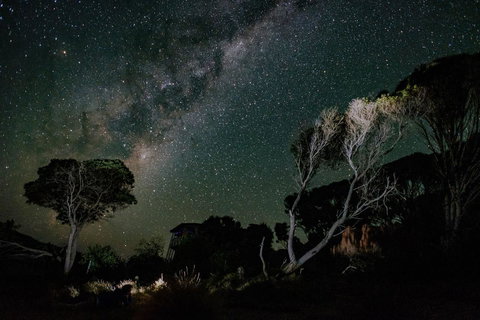 Palana Beach House - Accommodation Sunshine Coast 13