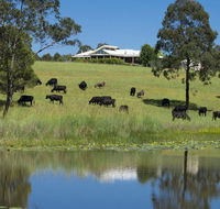 'Talumberi' 221 Trapyard Road - Accommodation Sunshine Coast