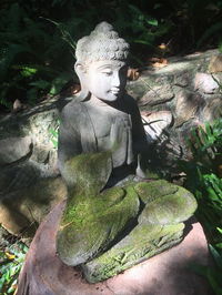 Book Coolum Accommodation Vacations Accommodation Sunshine Coast Accommodation Sunshine Coast