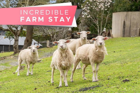Carawatha On The Range - Unique Farm Stay - Accommodation Sunshine Coast 0