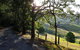 Dayboro Cottages - thumb 1