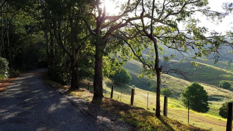 Dayboro Cottages - Accommodation Sunshine Coast 1