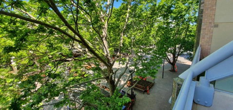 Dana-Spacious Private Room In Shared 2-Bedroom Apartment-2 - Accommodation Sunshine Coast 1