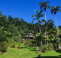 A Daintree Garden - Accommodation Sunshine Coast