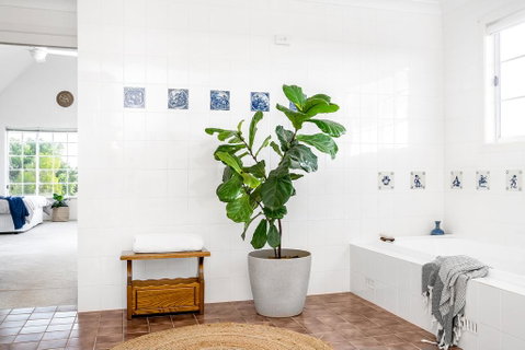 A PERFECT STAY - Pacific Ridge - Accommodation Sunshine Coast 3