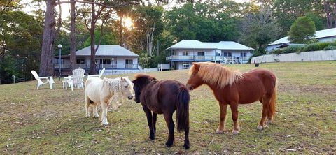 Aaronlee Retreat - Accommodation Sunshine Coast 2