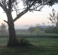 Abington Farm - Accommodation Sunshine Coast