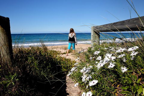 Absolute Beachfront Mollymook - Accommodation Sunshine Coast 3