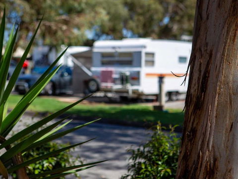 Echo Holiday Parks - Windsor Gardens - Accommodation Sunshine Coast 4