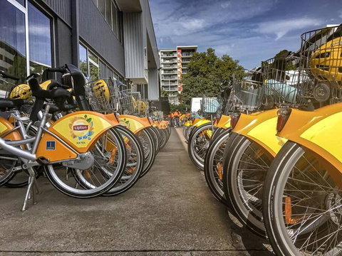 Experience More So Local - Accommodation Sunshine Coast 2
