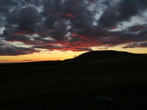 GOULBURN ALPACA FARM STAY - Accommodation Sunshine Coast 2