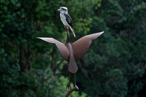 Afterglow Cottages - Accommodation Sunshine Coast 2