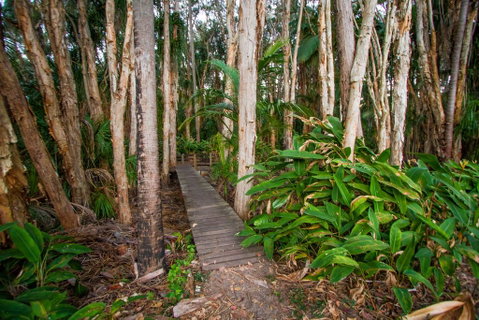Agnes Palms Accommodation - Accommodation Sunshine Coast 0