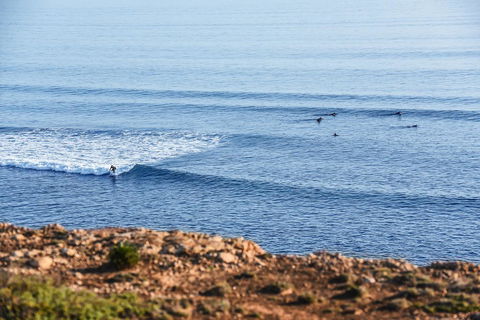 Aldinga Beach Experience - Accommodation Sunshine Coast 3