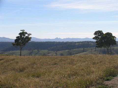 Almas Cottage - Accommodation Sunshine Coast 2