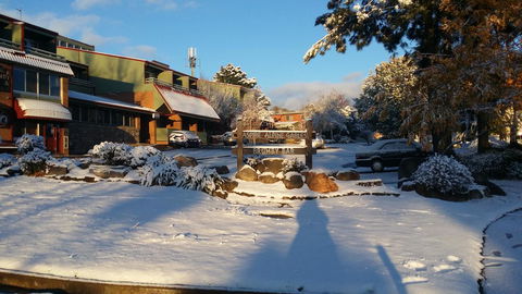 Alpine Gables 33 - Accommodation Sunshine Coast 1