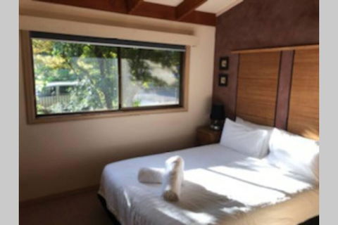 Alpine Guest House - Accommodation Sunshine Coast 2