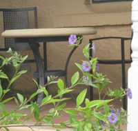 Amalie Cottage Waikerie - Accommodation Sunshine Coast