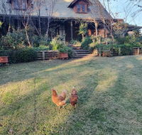 Angaston by the Winter Creek - Accommodation Sunshine Coast