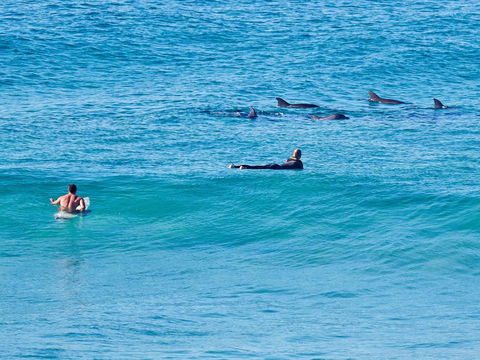 Aquarius Apartment 9 - Accommodation Sunshine Coast 1