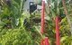 Arbor-Grove The Loft - thumb 0