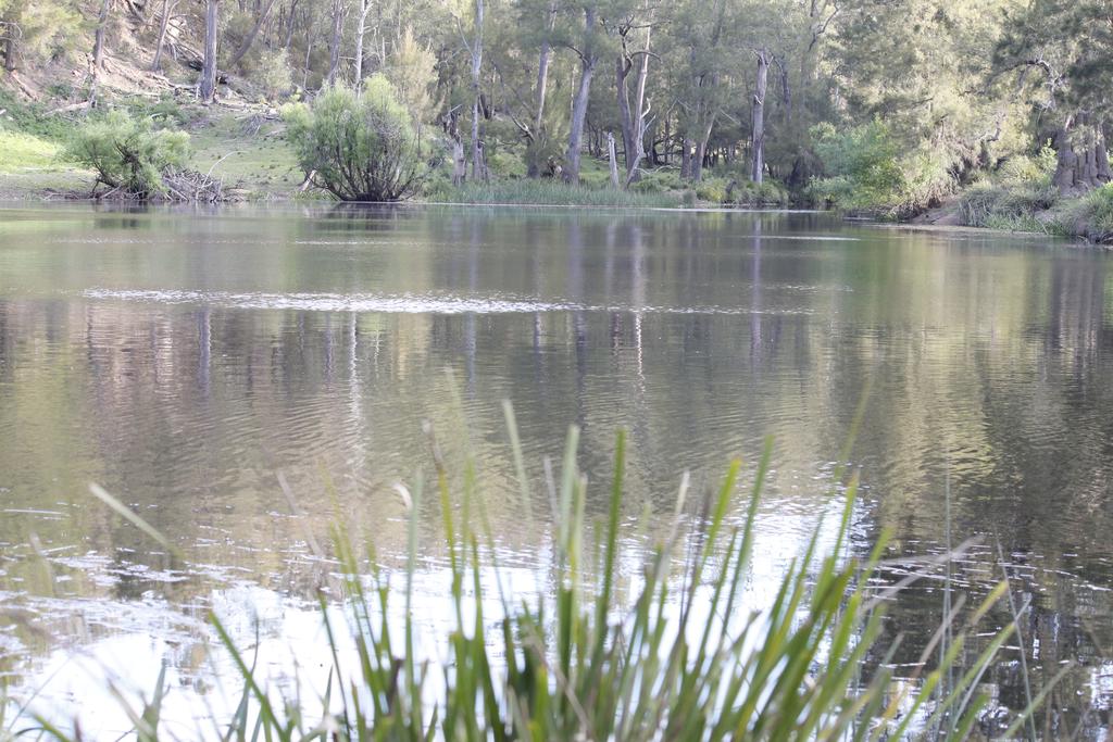Wingello ACT Accommodation Sunshine Coast