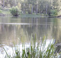 Arcadian Cabin - Southern Highlands River Retreat - Accommodation Sunshine Coast