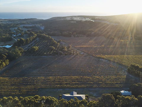 Arimia Estate Guesthouse - Accommodation Sunshine Coast 1