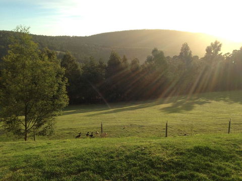 Arjuna Ridge Bed And Breakfast - Accommodation Sunshine Coast 0