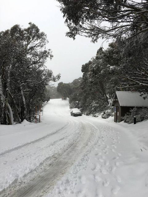 MAGNIFICENT SKIING ON MOUNT BULLER - Accommodation Sunshine Coast 3