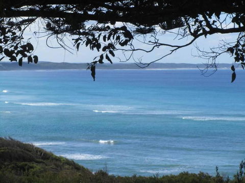 Maizies View - A Hidden Gem - Accommodation Sunshine Coast 1