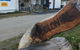 Monto Colonial Motor Inn - thumb 0